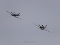 220827-850_1579-P-51-Mustang-Supermarine-Spitfire