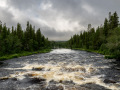 230727-_DSC3712-Fjaltfallen-Harjedalen