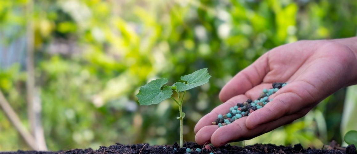 Tipos de fertilizantes permitidos por la UE: lo que debes saber