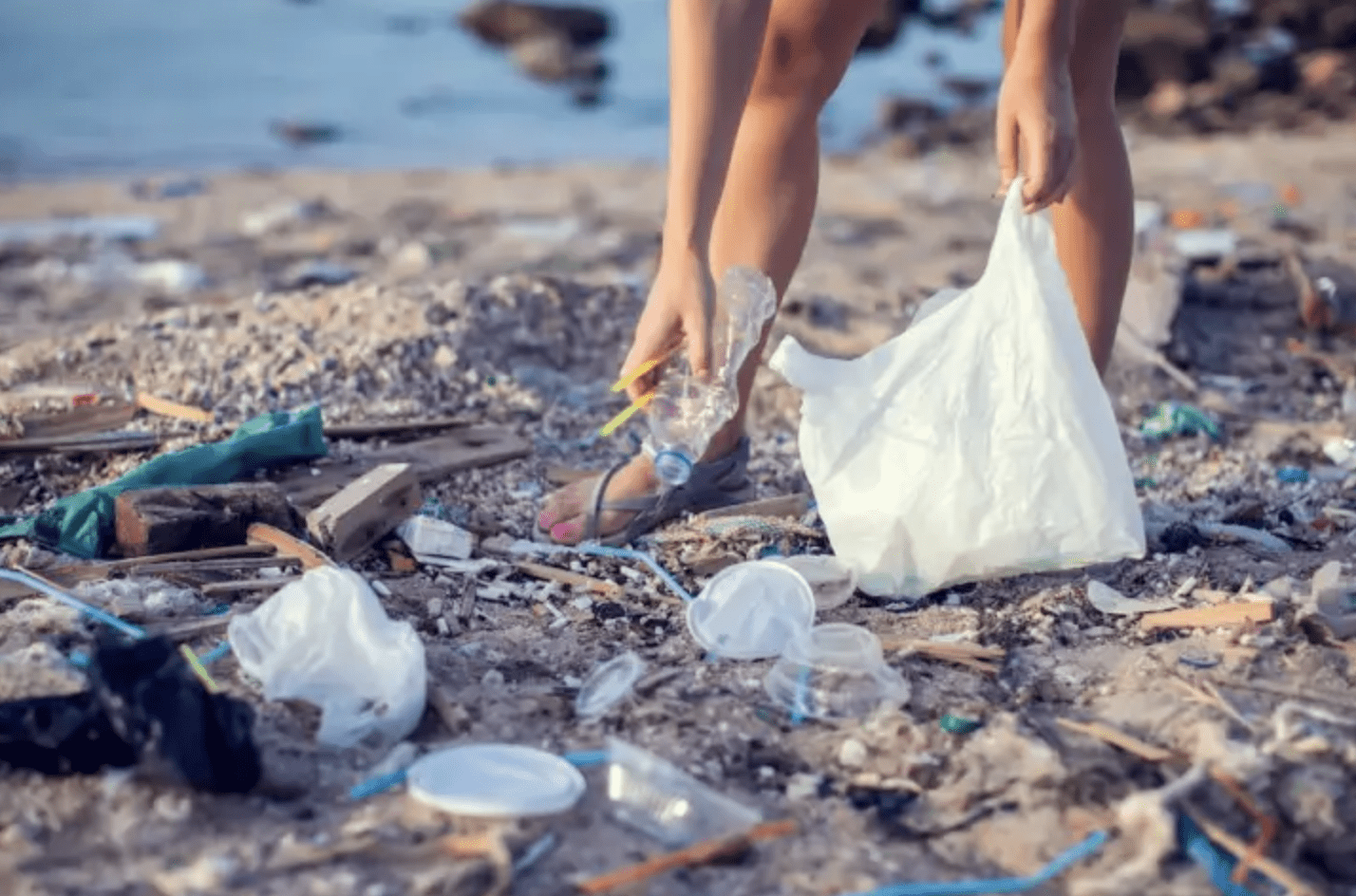 Voluntariado: ¿Tiene sentido limpiar las playas o no a nivel medio  ambiental?