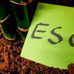 Informes de sostenibilidad o ESG: todo lo que debes saber