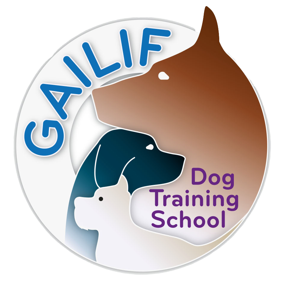 Gailif Dog Training School