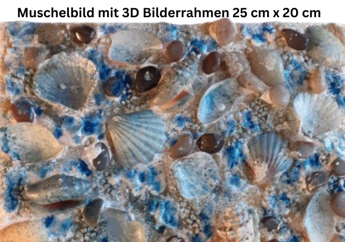 Muschelbilder kaufen - Maritime Bilder kaufen