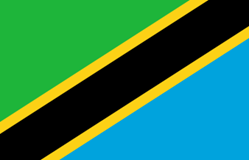 Tanzanian flag