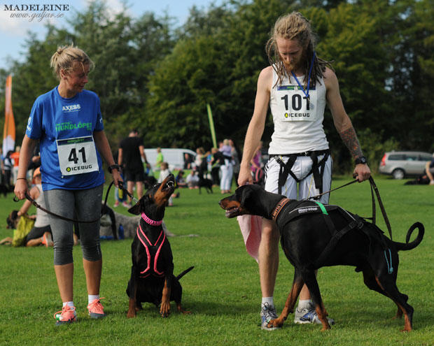 hundlop13.14