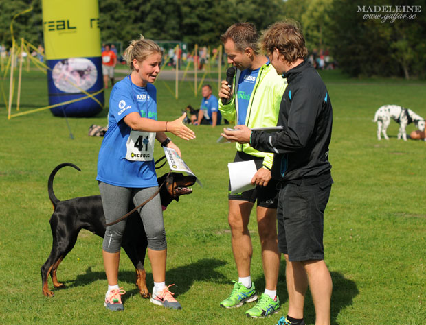 hundlop13.16
