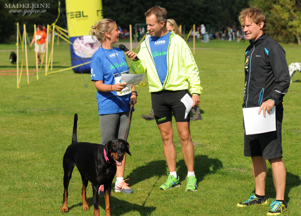 hundlop13.17