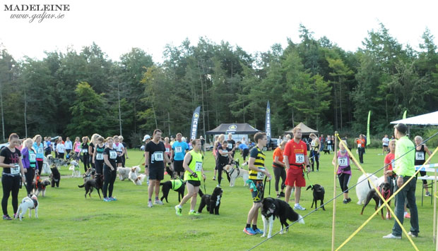 hundlop13.4
