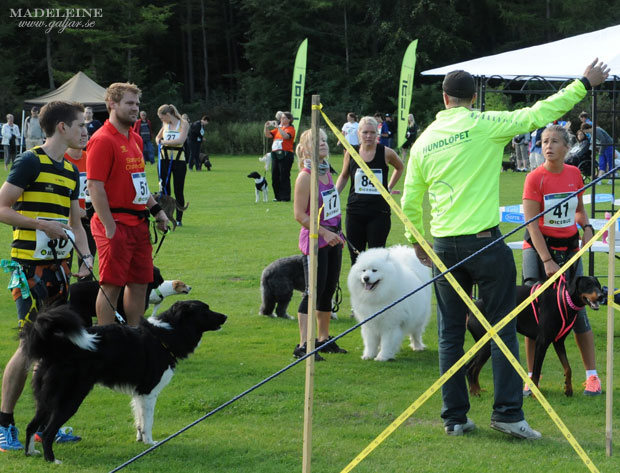 hundlop13.5