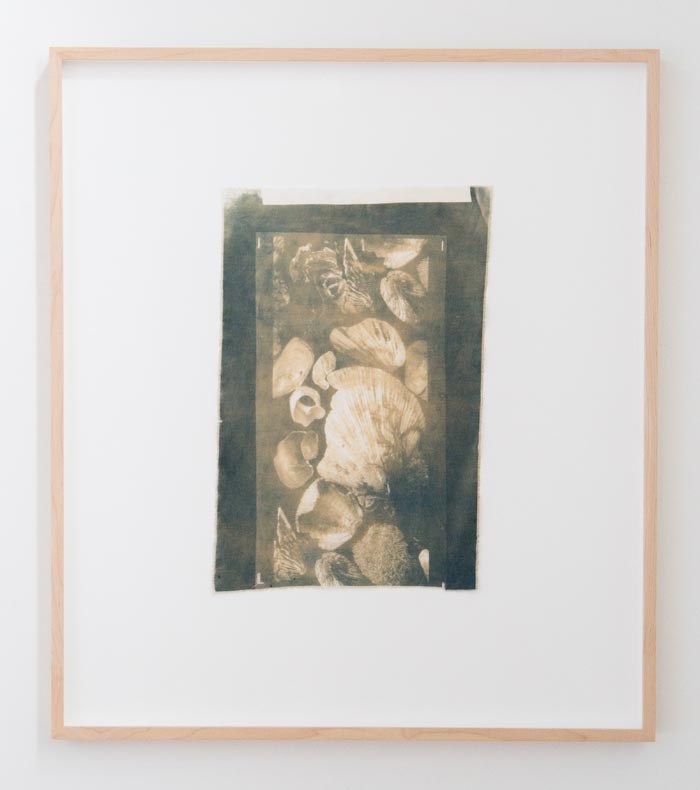 Anna Niskanen, Archive, 2019. Cyanotype on cotton, 31x48cm