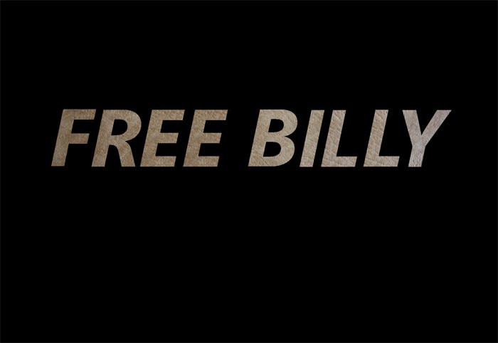 Anna Pekkala: Free Billy