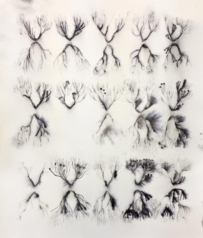 Eveliina Hämäläinen: RIVER IN ME, ink on paper, 29 x 26 cm, 2019