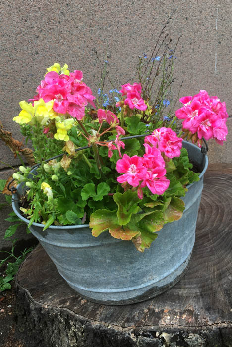 Midsummer flowers in front of Galleria Huuto