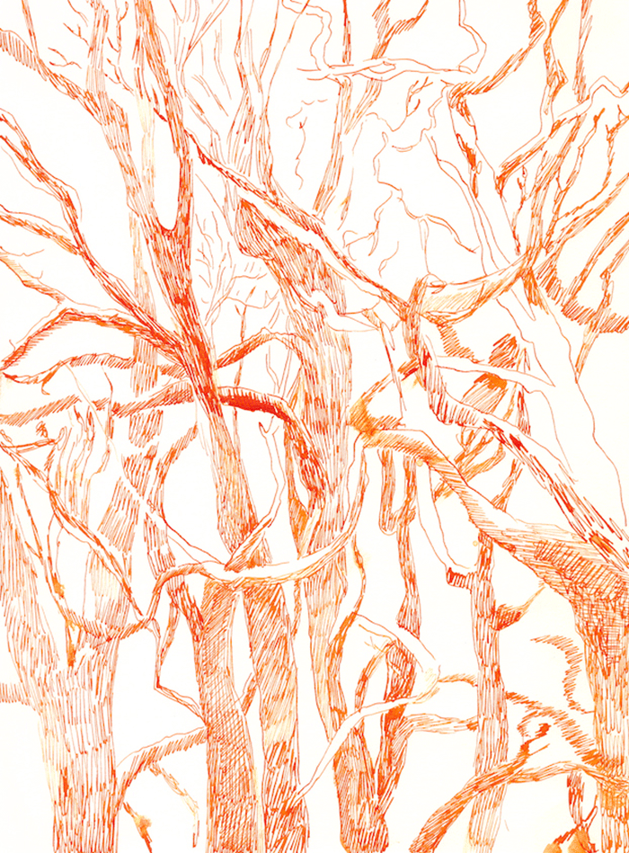 Laura Ukkonen: Talvipuut (1), muste paperille, 2015, 29x20 cm
