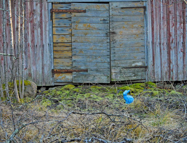 Don't Go Into That Summer Barn