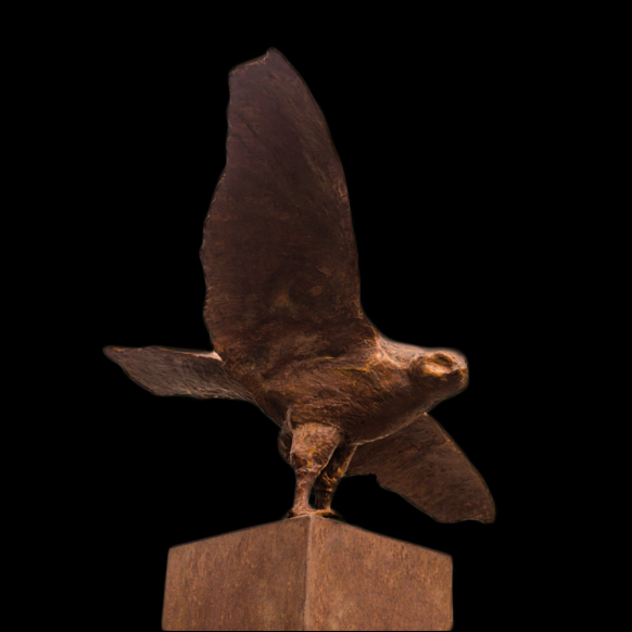 Buizerd