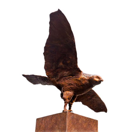 Buizerd