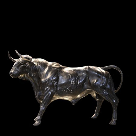 Stier middelmaat