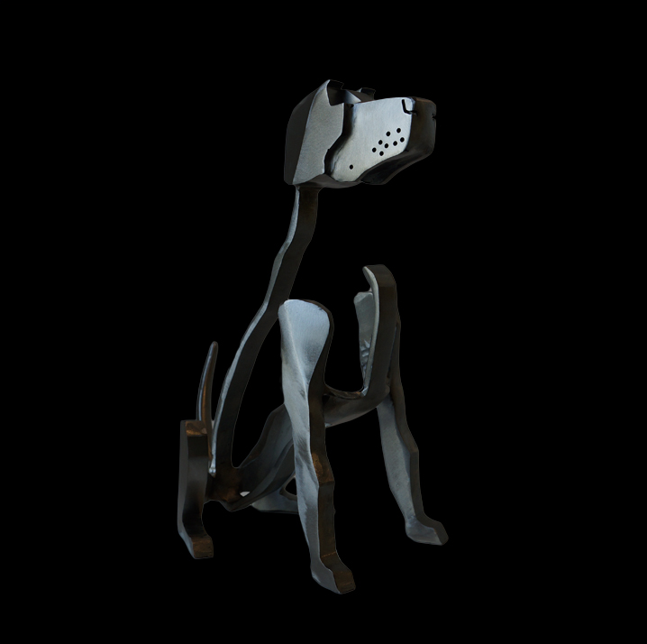 Vizsla (medium)
