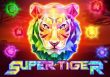 Super Tiger Slot Review