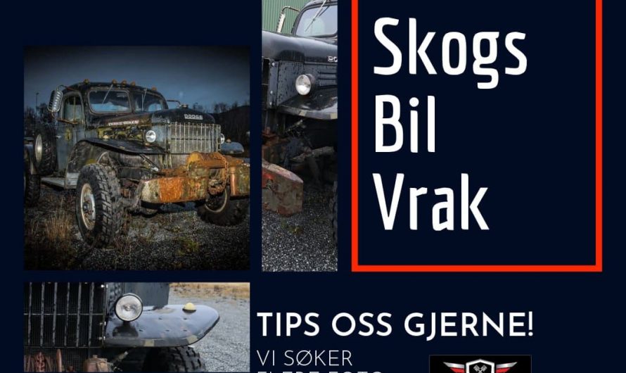 Søker flere skogsvrak for fotoshoot i Trøndelag