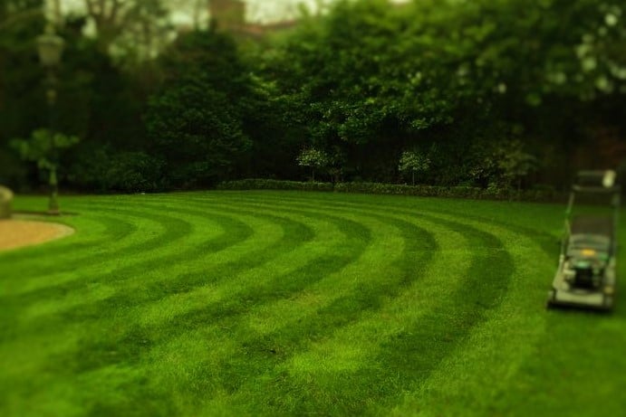Stripes on lawn
