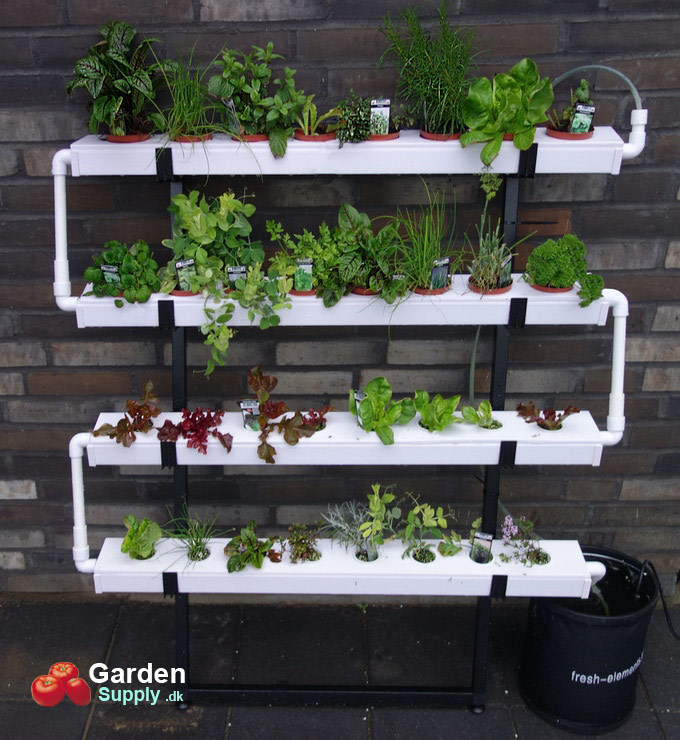 Hydroponics-kit-2