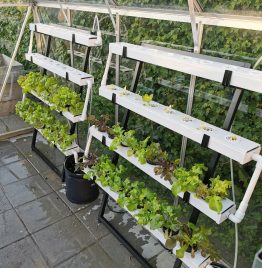 Grow kit 32B - Hydroponisk dyrkningssæt til grøntsager og urter - Image 7