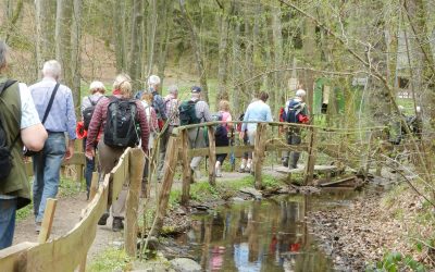 Wanderung: Auf den Spuren des Erzbergbaus