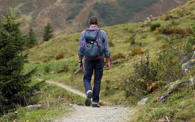 Wanderung: Einsame Eifeltäler