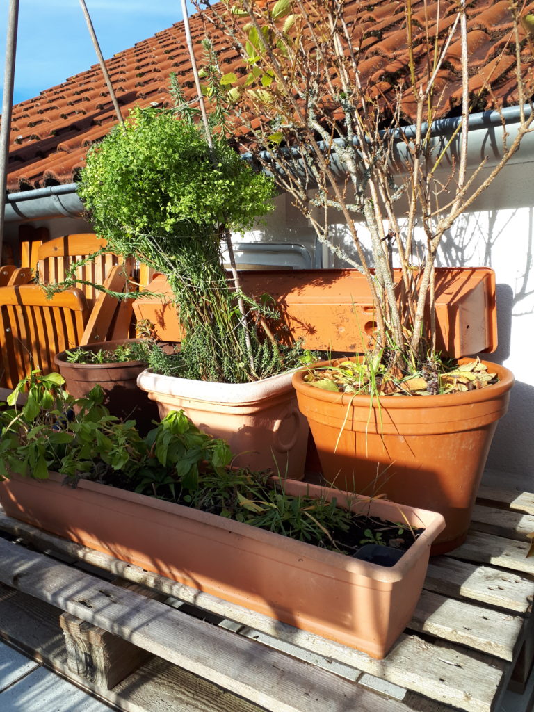 Jetzt noch: Balkon winterfest machen - Garteneuphorie