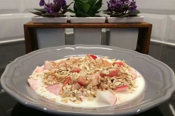 Yoghurt med äpple o kanel