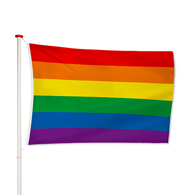 regenboog pride vlag