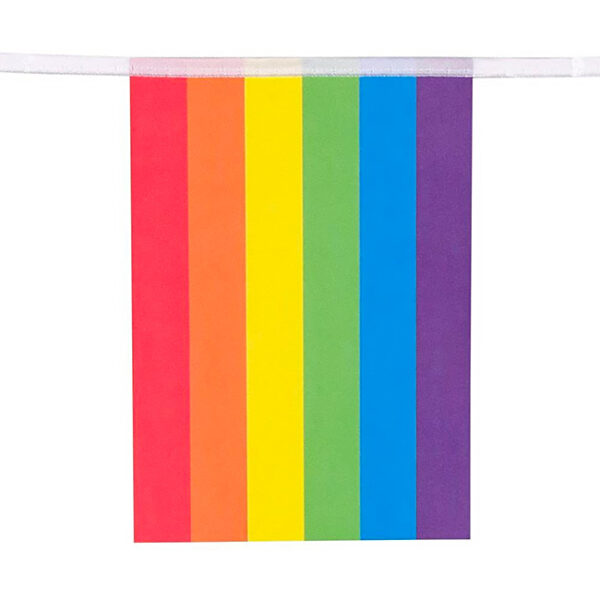 regenboog vlag detail