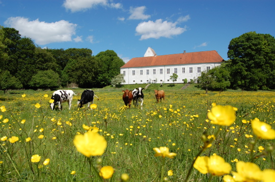Landskabsudvikling ved refugiet Ørslev Kloster