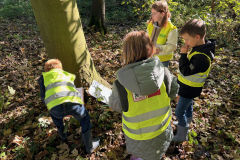 Bezoek aan de Baljuwtuin - 3L - oktober 2024