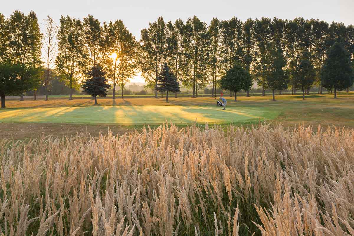 gc-schloss-ernegg-golfplatz4