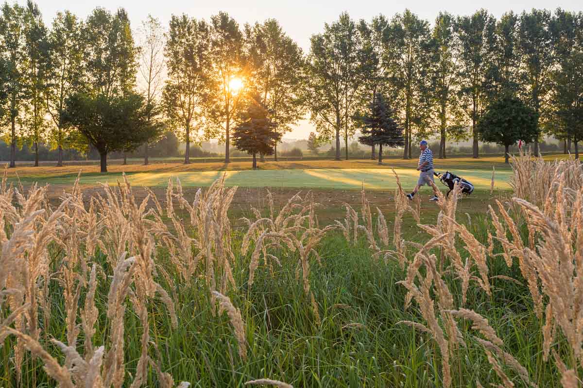 gc-schloss-ernegg-golfplatz5