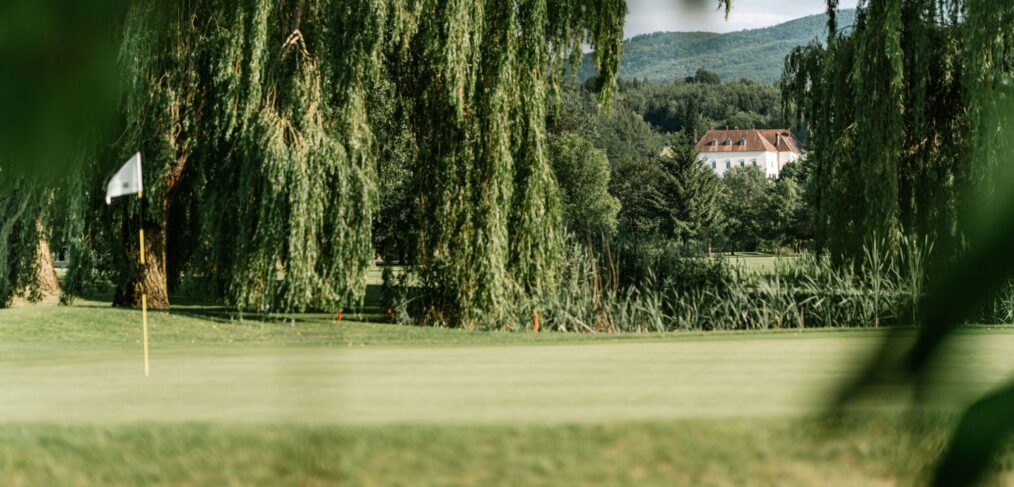 Trauerweide gibt Blick auf das Schloss Ernegg frei
