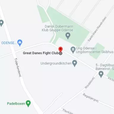 Adresse vist på Google Maps