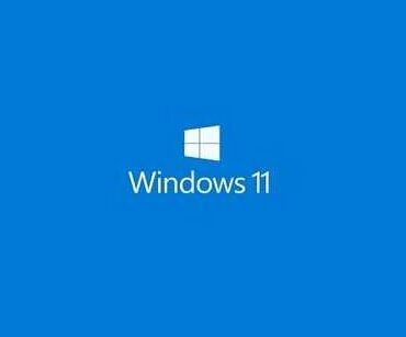 OS Microsoft Windows 11