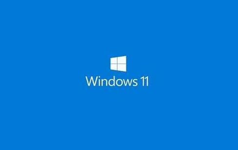 OS Microsoft Windows 11
