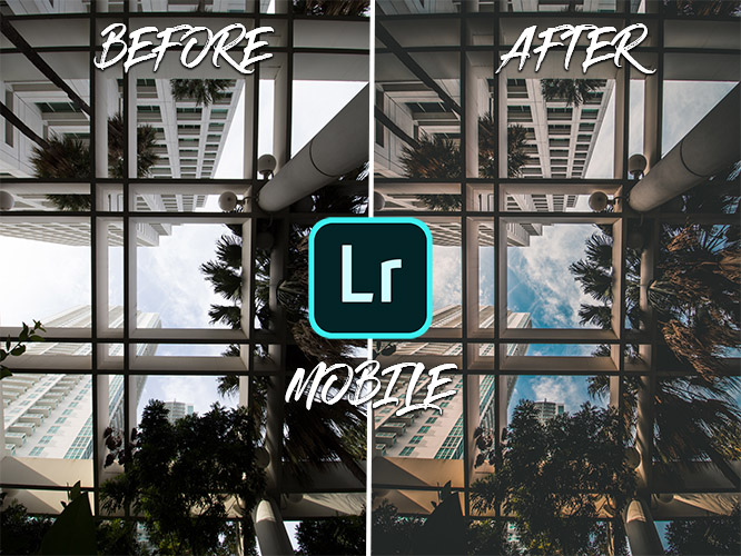 presets lightroom mobile gratuit francais