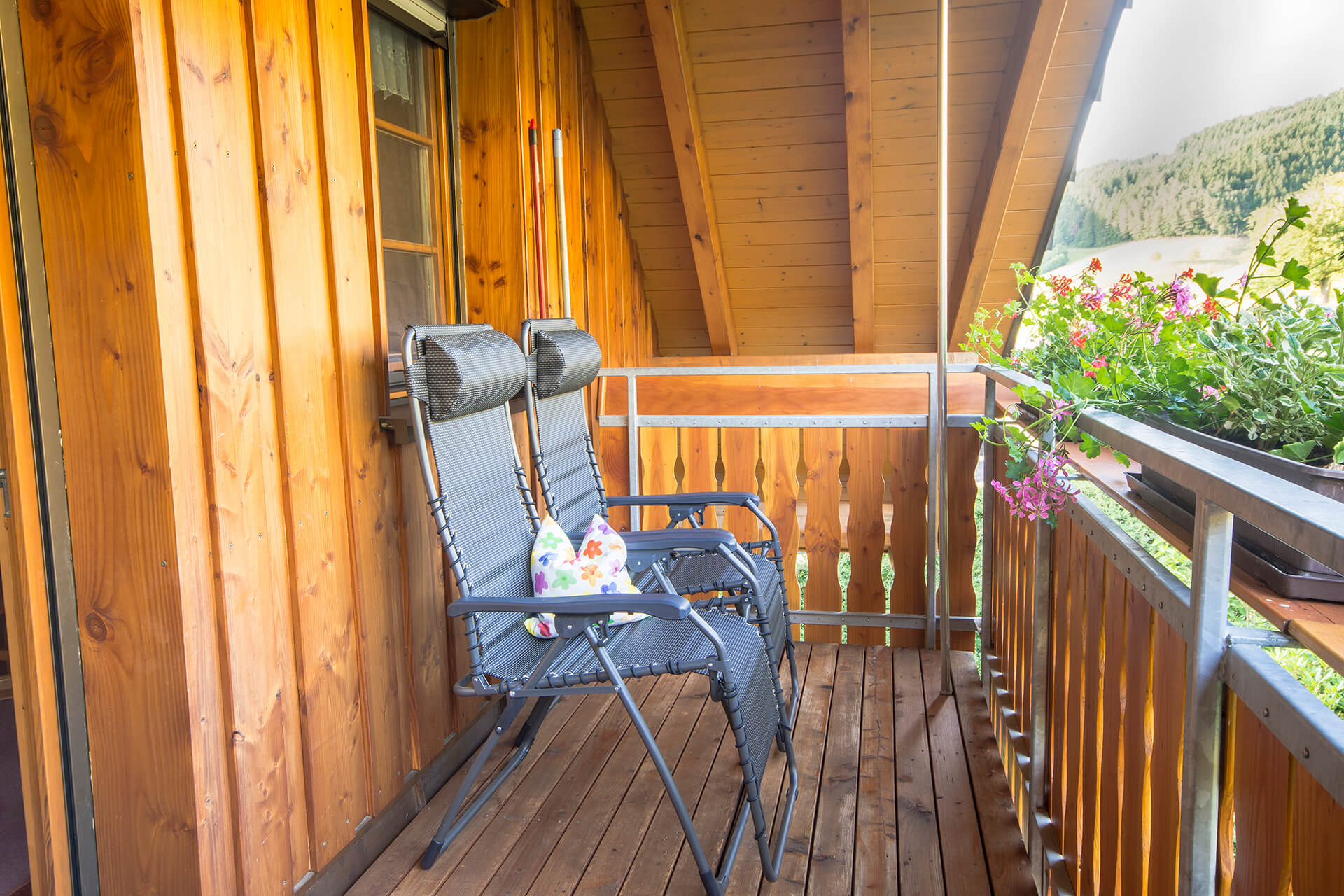 Geigerseppleshof_Ferienwohnung_Schwarzwald_Talblick_7
