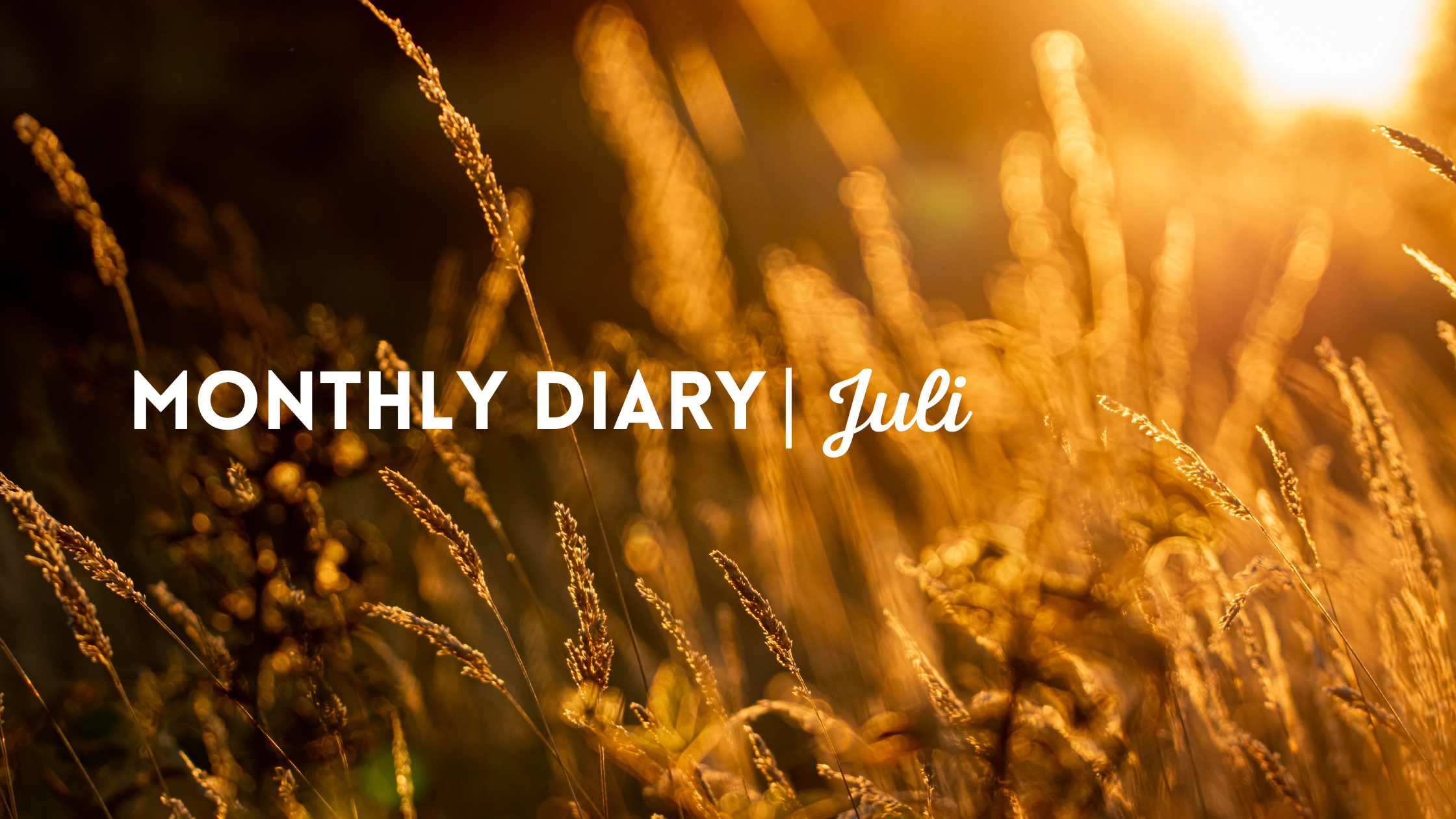 Monthly Diary | Juli 2022