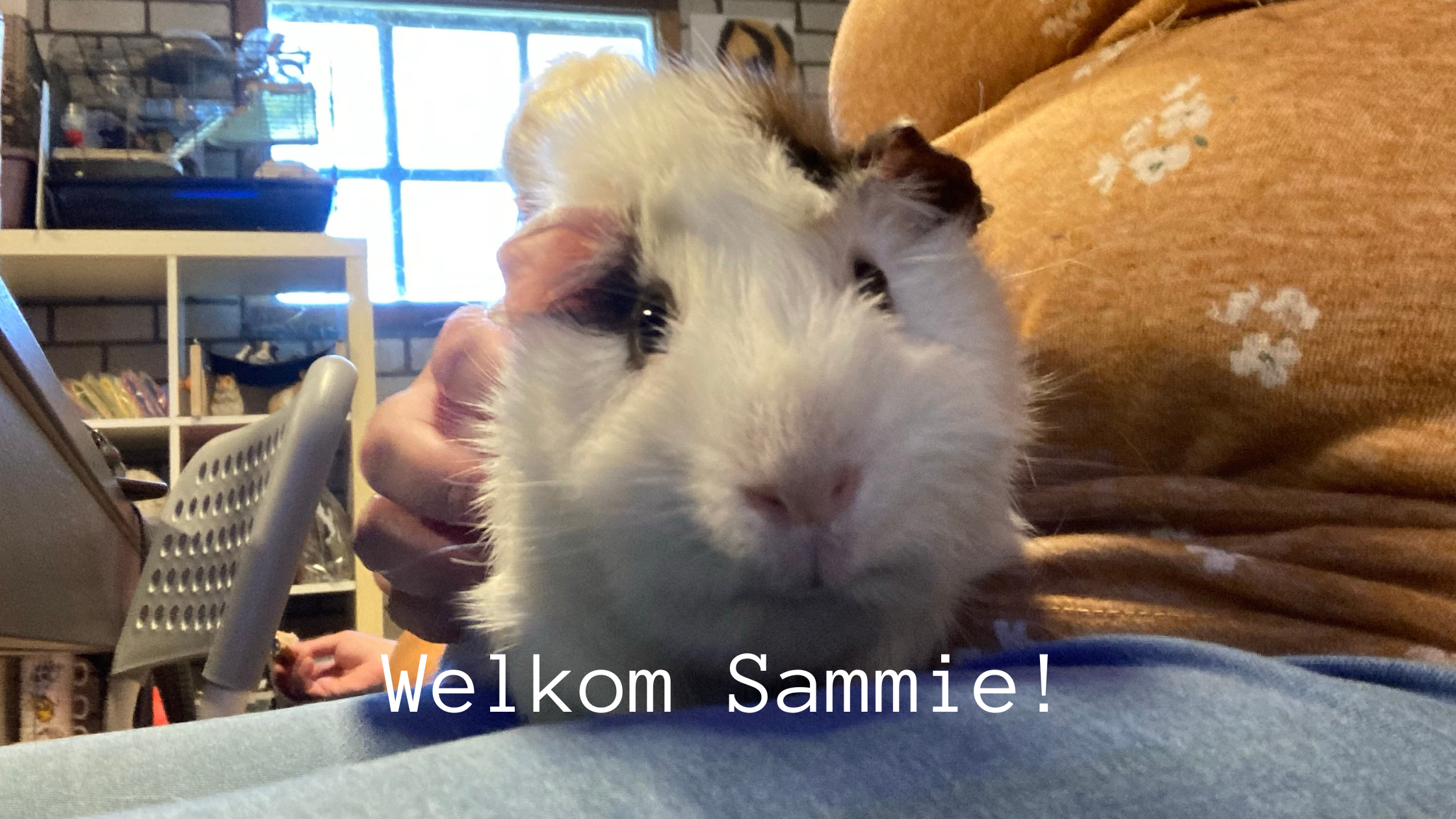 Hoera, gezinsuitbreiding | Welkom Sammie!