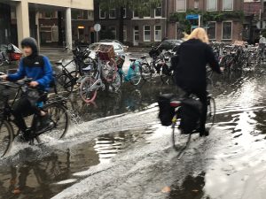 GroenLinks Vergroening moet hittestress en wateroverlast beperken