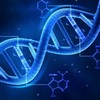 Actualité-genealogie-juillet2019-La-généalogie-génétique-pas-au-menu-de-la-loi-bioéthique