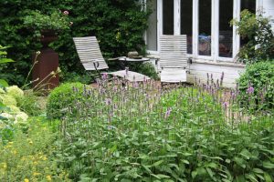 Read more about the article Lazy Gardening – entspannt gärtnern