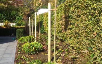 Gartenplanung - Gartenberatung - Gartenkurse - Gartentipps